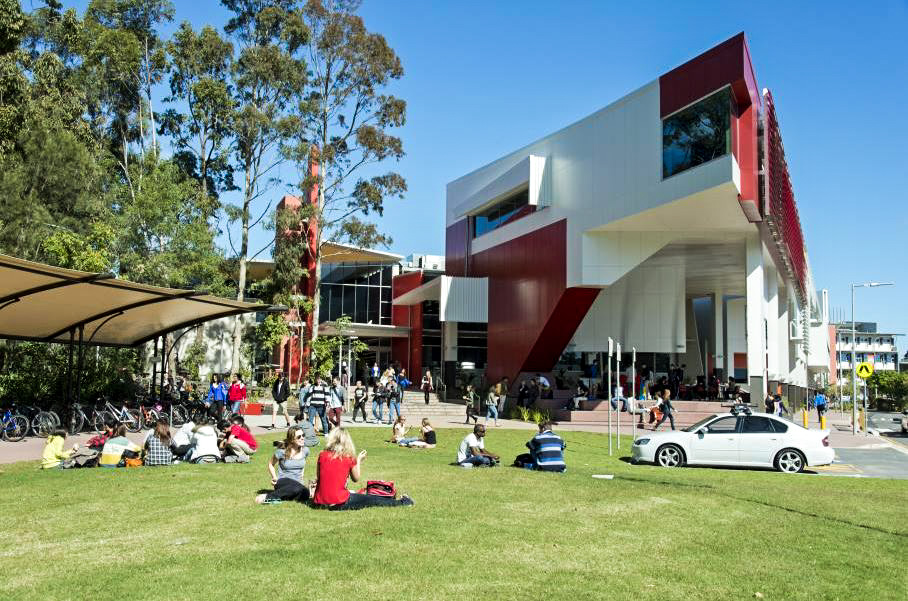 griffith university thesis library